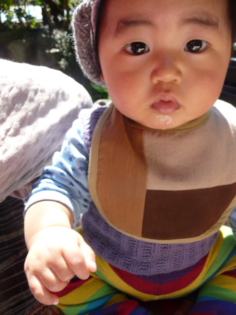 �R���N�V�����@-caravan- SHANTI SHANTI