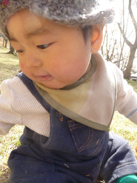 �R���N�V�����@-caravan- SHANTI SHANTI